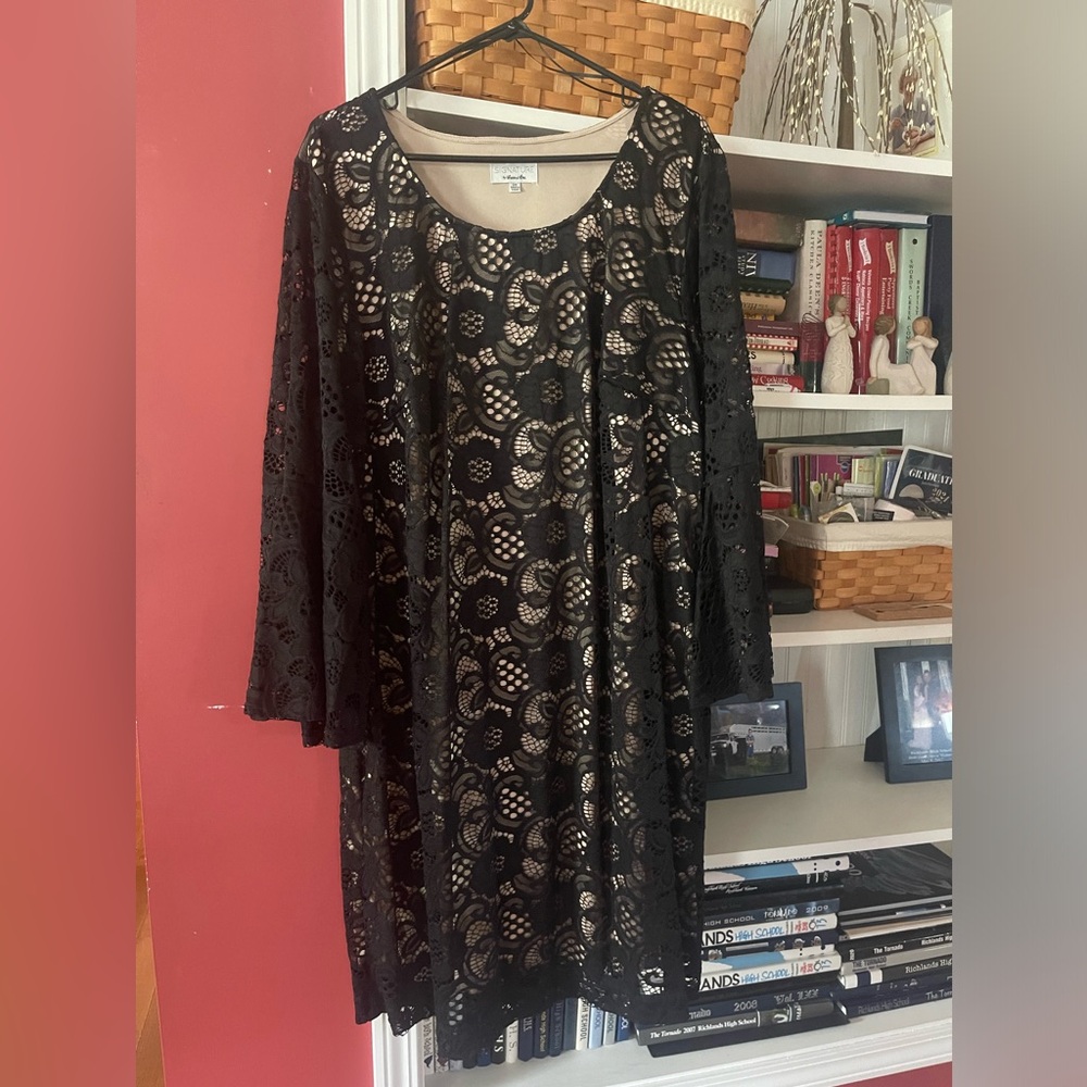 Beautiful black crochet dress with nude lining. Long sleeves.